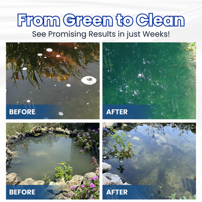 ✨ From Green to Clean in 24H! The Safe Bio-Active Pond Clarifier 🛡️AEXZR® Aqua-Guardian Pro Formula