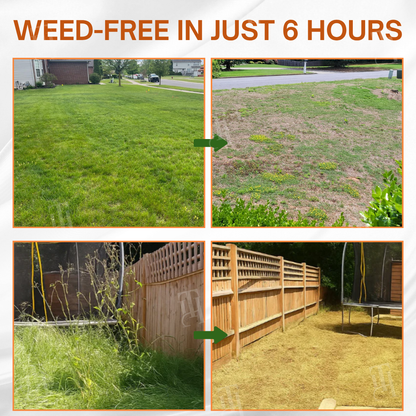 ✨ From Weed Jungle to Perfect Lawn! | ⏱️ Watch Weeds Wither in 6 Hours!  |AEXZR® 2-in-1 Max Power Herbicide (100% Glyphosate-Free)
