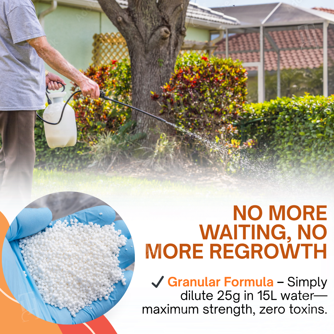 ✨ From Weed Jungle to Perfect Lawn! | ⏱️ Watch Weeds Wither in 6 Hours!  |AEXZR® 2-in-1 Max Power Herbicide (100% Glyphosate-Free)