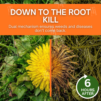 ✨ From Weed Jungle to Perfect Lawn! | ⏱️ Watch Weeds Wither in 6 Hours!  |AEXZR® 2-in-1 Max Power Herbicide (100% Glyphosate-Free)