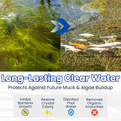 ✨ From Green to Clean in 24H! The Safe Bio-Active Pond Clarifier 🛡️AEXZR® Aqua-Guardian Pro Formula