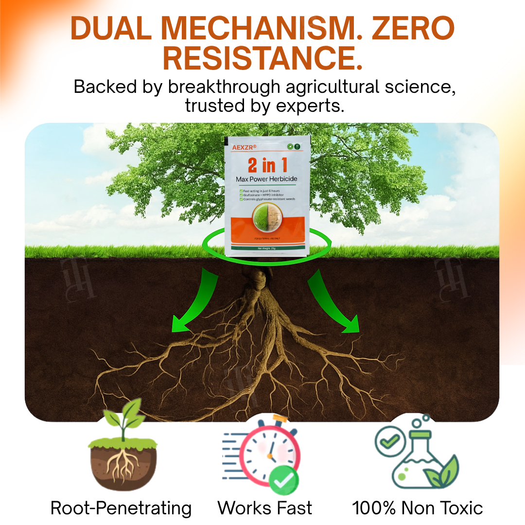 ✨ From Weed Jungle to Perfect Lawn! | ⏱️ Watch Weeds Wither in 6 Hours!  |AEXZR® 2-in-1 Max Power Herbicide (100% Glyphosate-Free)