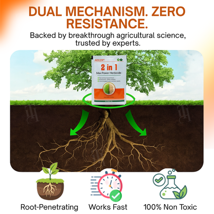 ✨ From Weed Jungle to Perfect Lawn! | ⏱️ Watch Weeds Wither in 6 Hours!  |AEXZR® 2-in-1 Max Power Herbicide (100% Glyphosate-Free)