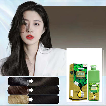 🏆 Last Day Special Price £11.99! 💇‍♀️Long‑Lasting Plant‑Based Foam Hair Dye｜Ammonia‑Free Easy DIY At‑Home Foam Hair Color